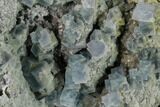 Blue Cubic Fluorite Crystal Cluster - China #160713-1